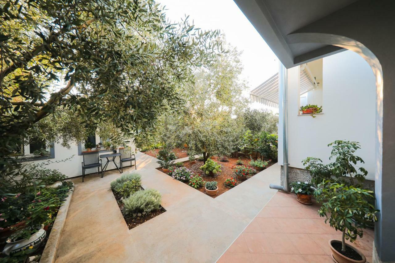 Apartman Antisin Zadar Exteriör bild