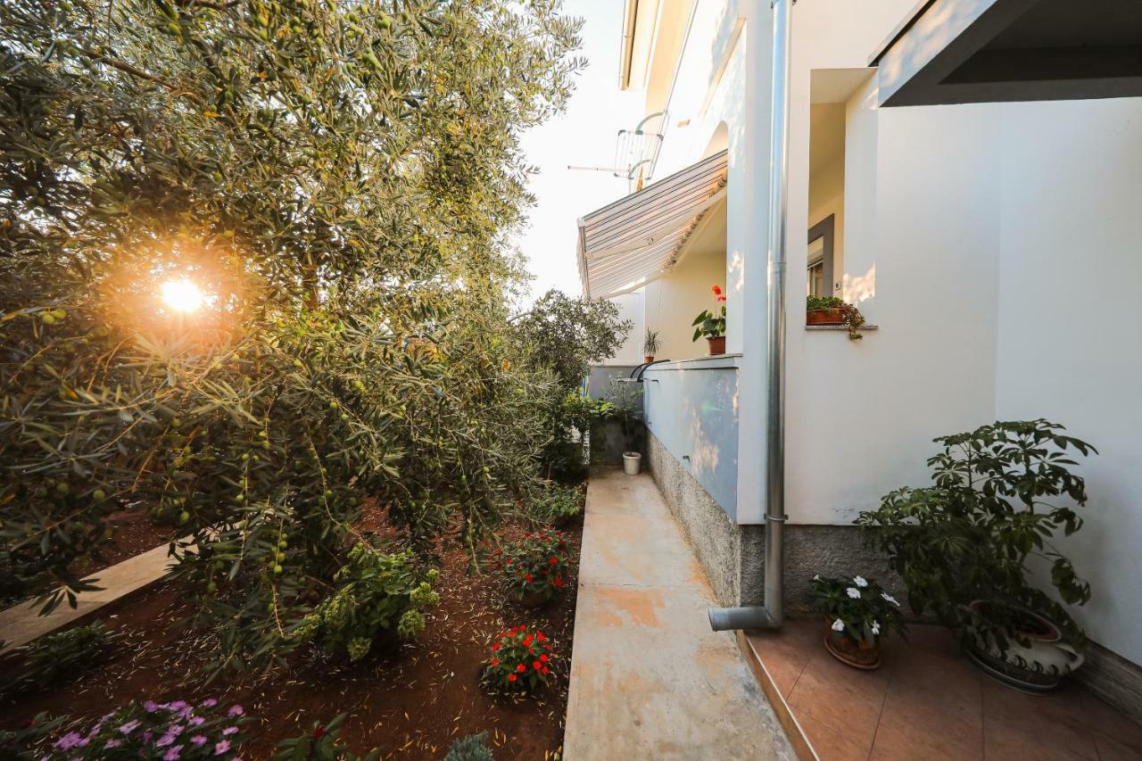 Apartman Antisin Zadar Exteriör bild